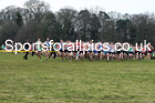 Senior mens Northern Cross Country Champs., Camp Hill Estate, Kirklington.  Photo: David T. Hewitson/Sports for All Pics